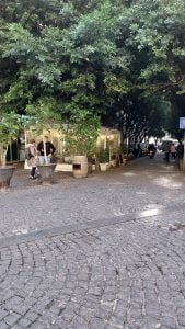 Dettaglio viale Alberato in Via Chiaia verso Via dei Mille nei pressi dei Quartieri Spagnoli a Napoli