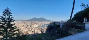 Dettaglio Vesuvio e Albero su Itinerario Pedamentina a Napoli