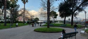 Panoramica porto del Molosiglio da giardini Napoli