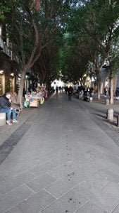 Foto Verticale di viale Alberato in Via Chiaia nei pressi dei Quartieri Spagnoli a Napoli