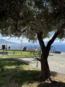 Giardino di Pizzofalcone a Napoli